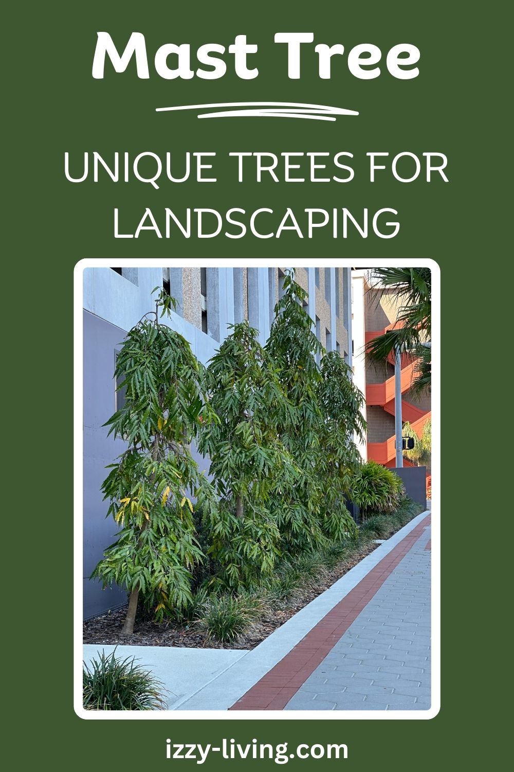 Mast Tree: A Unique Tree for Tropical Landscape Design - izzy-living.com