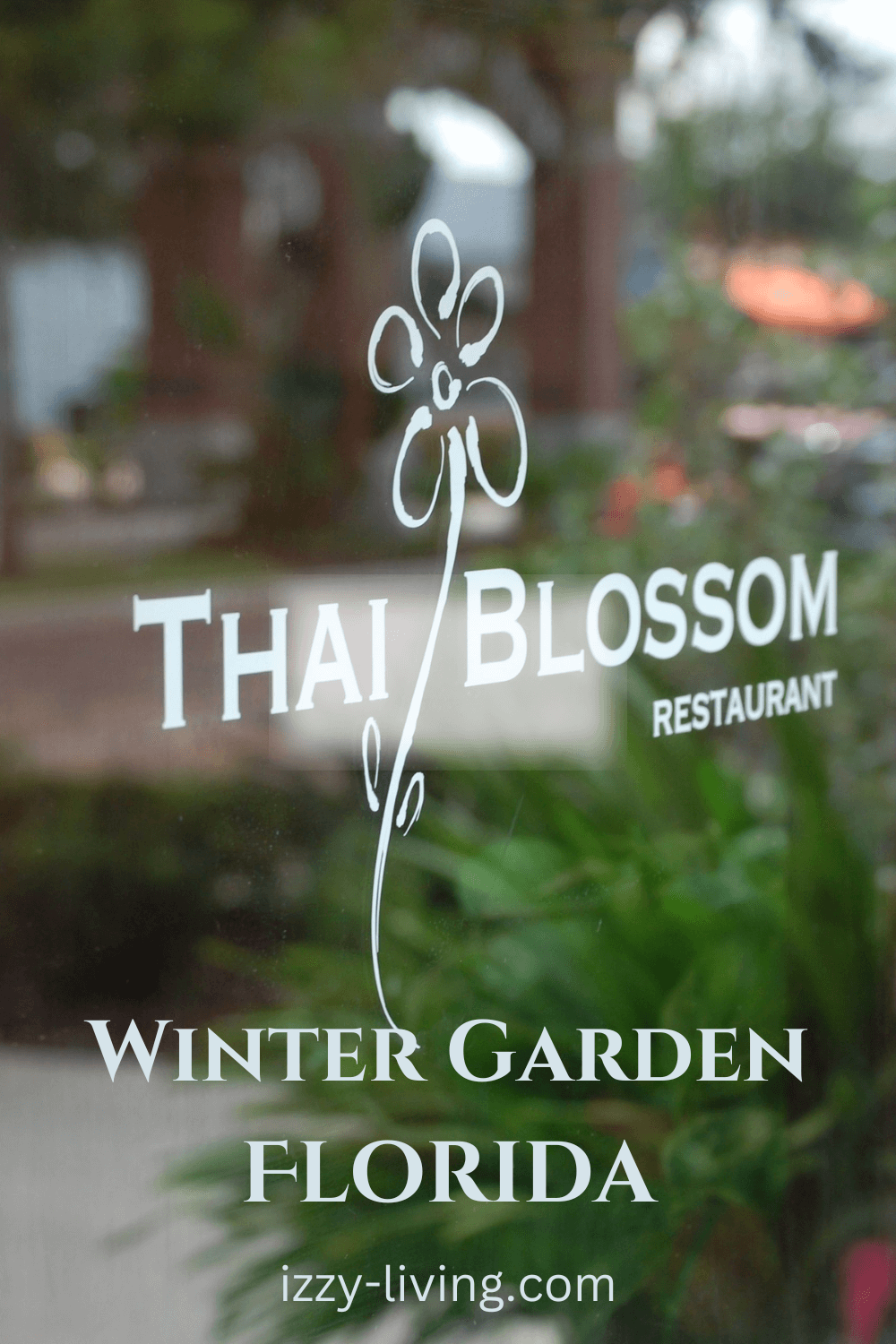 Thai Blossom Restaurant in Winter Garden, FL