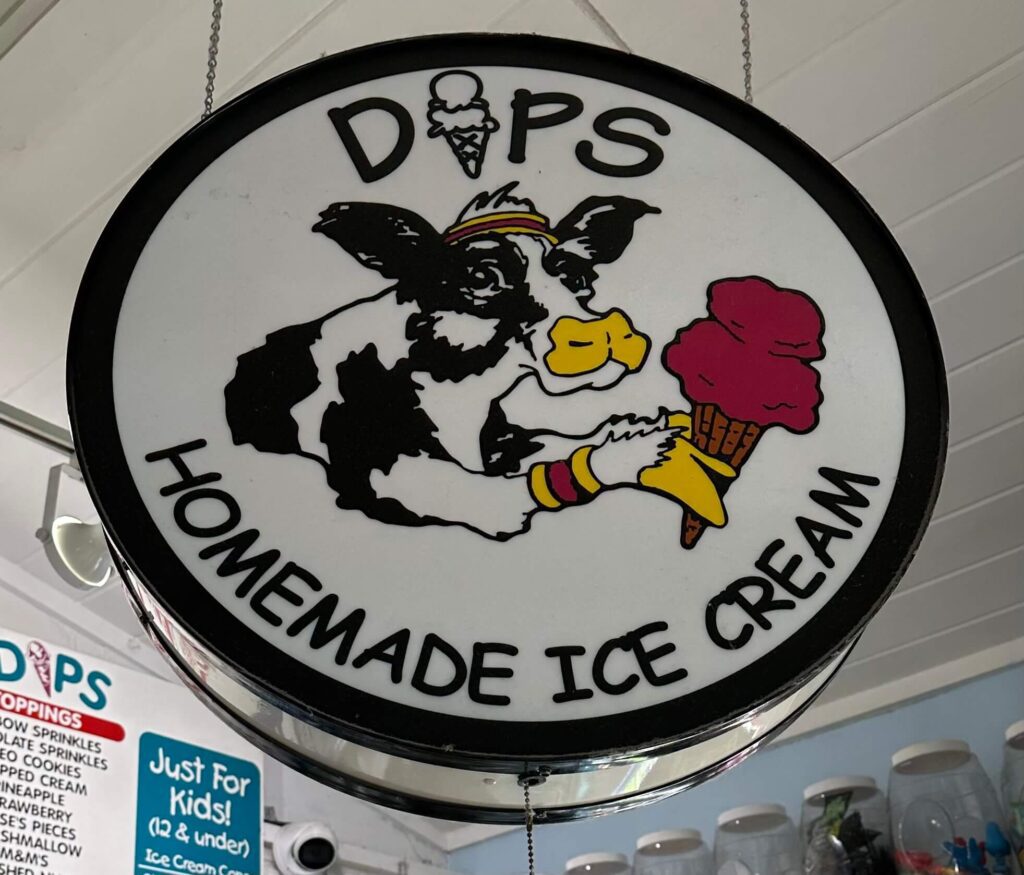 anna maria island dips