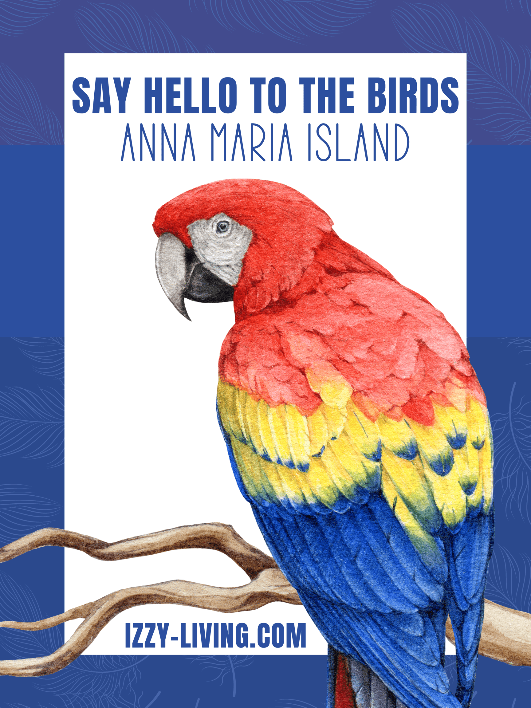 Chirp Happens at the Sun and Surf Beach Shop: Meet the Birds