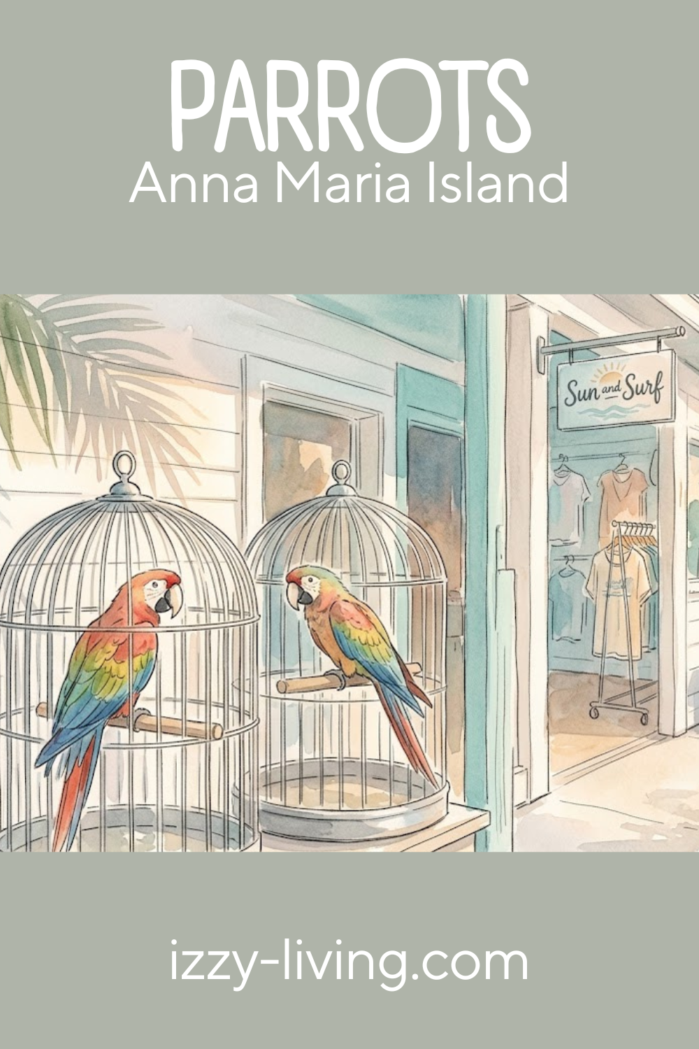 The Colorful Parrots Outside Sun & Surf on Anna Maria Island