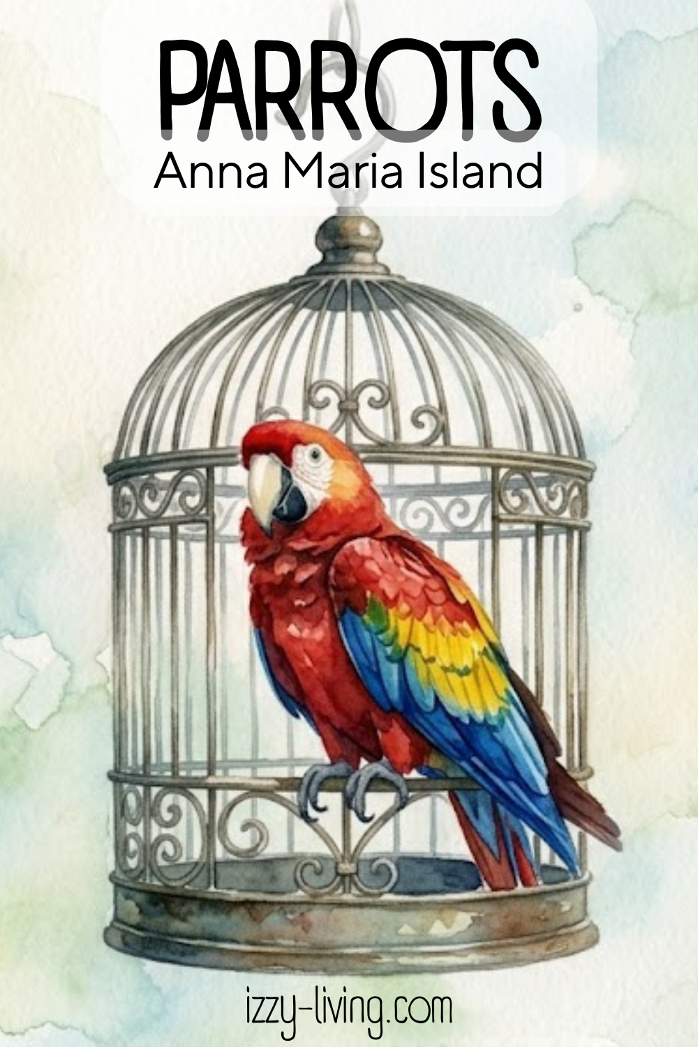 The Colorful Parrots Outside Sun & Surf on Anna Maria Island