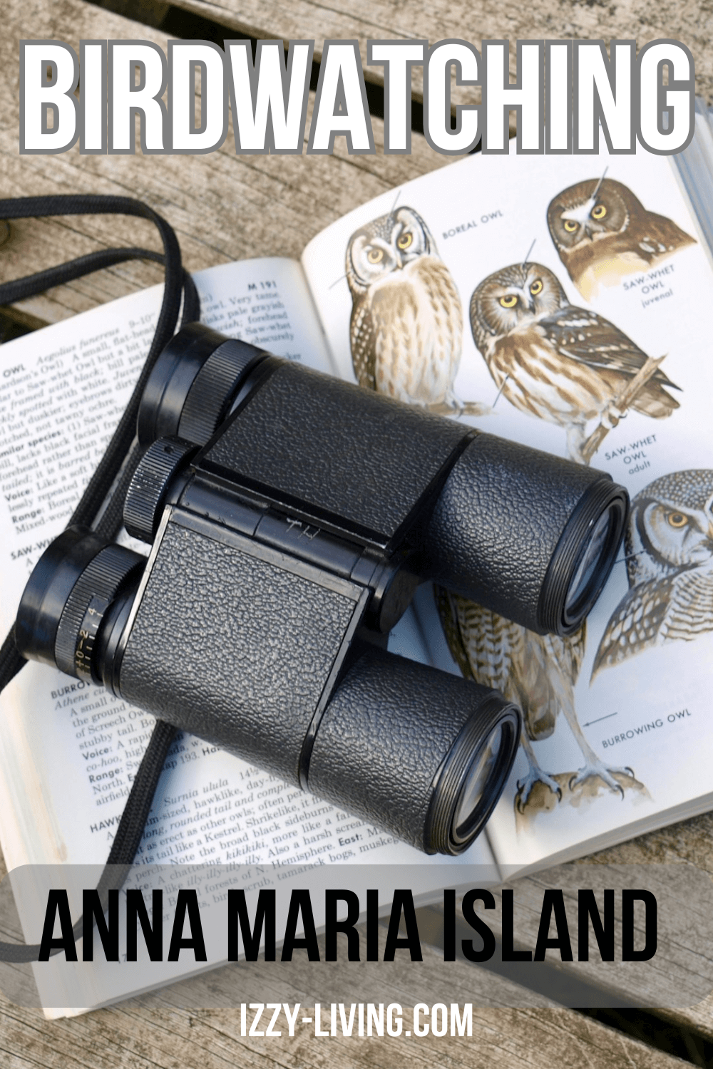 Ultimate Guide to Birdwatching on Anna Maria Island