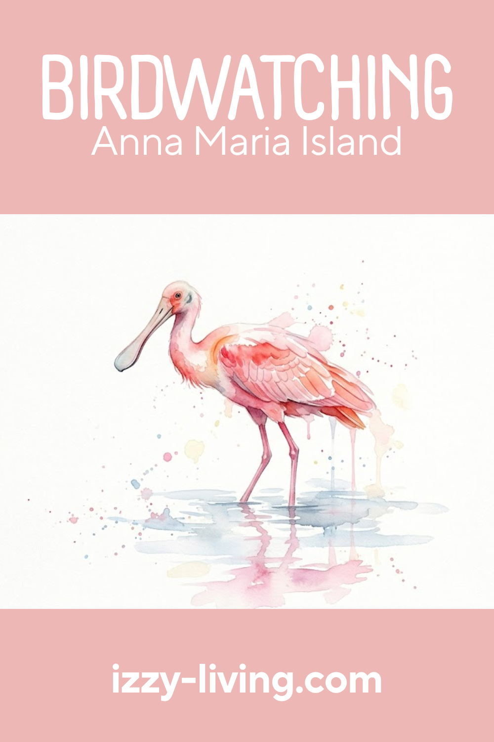 Birdwatching on Anna Maria Island: My Insider Guide