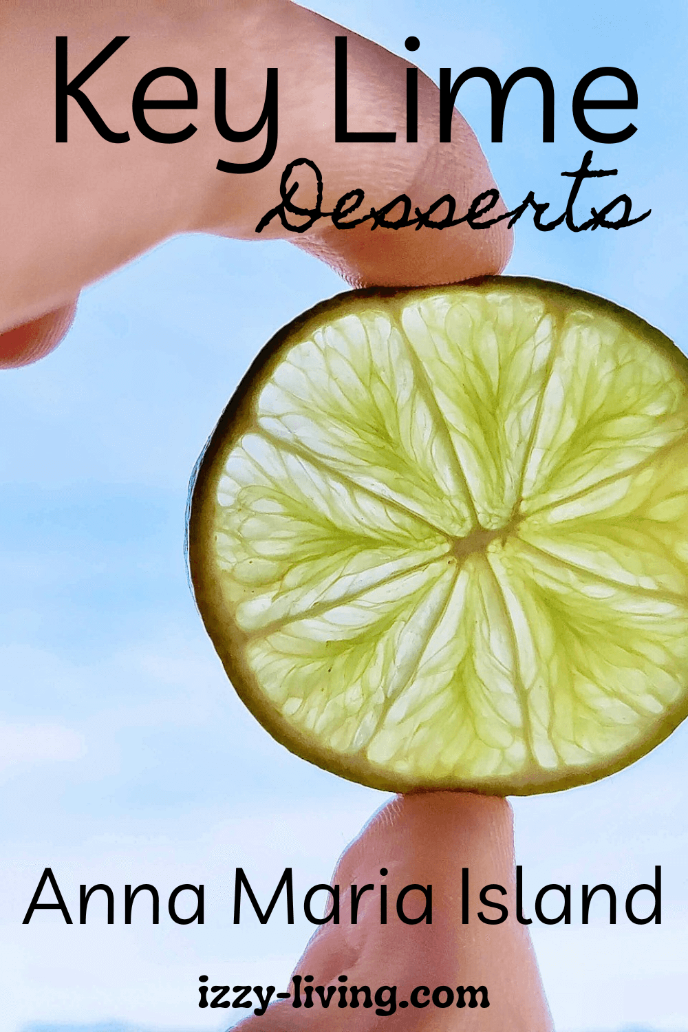 The Best Key Lime Desserts on Anna Maria Island
