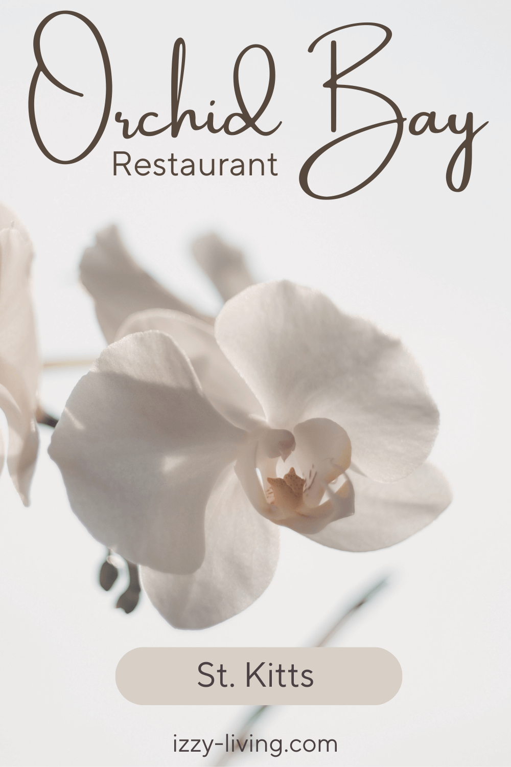 Savor Authentic Italian Cuisine at Orchid Bay on St. Kitts