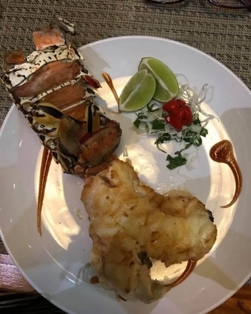 Cuba - lobster