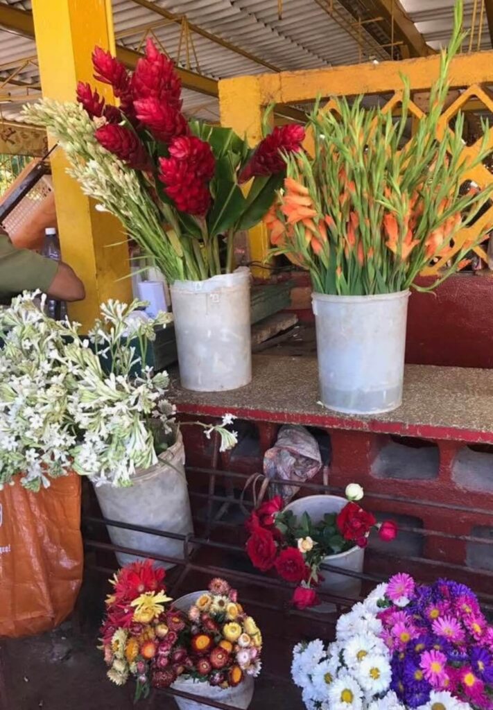 Cuba Flowers
