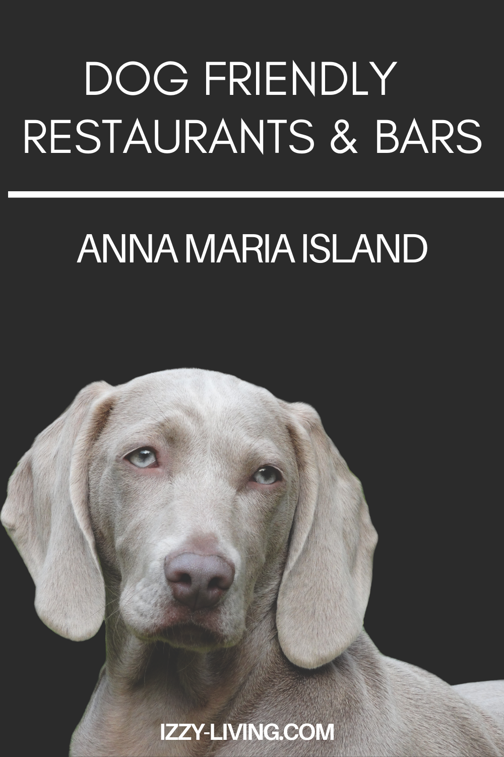 Ultimate Guide to Dog Friendly Restaurants & Bars on Anna Maria Island