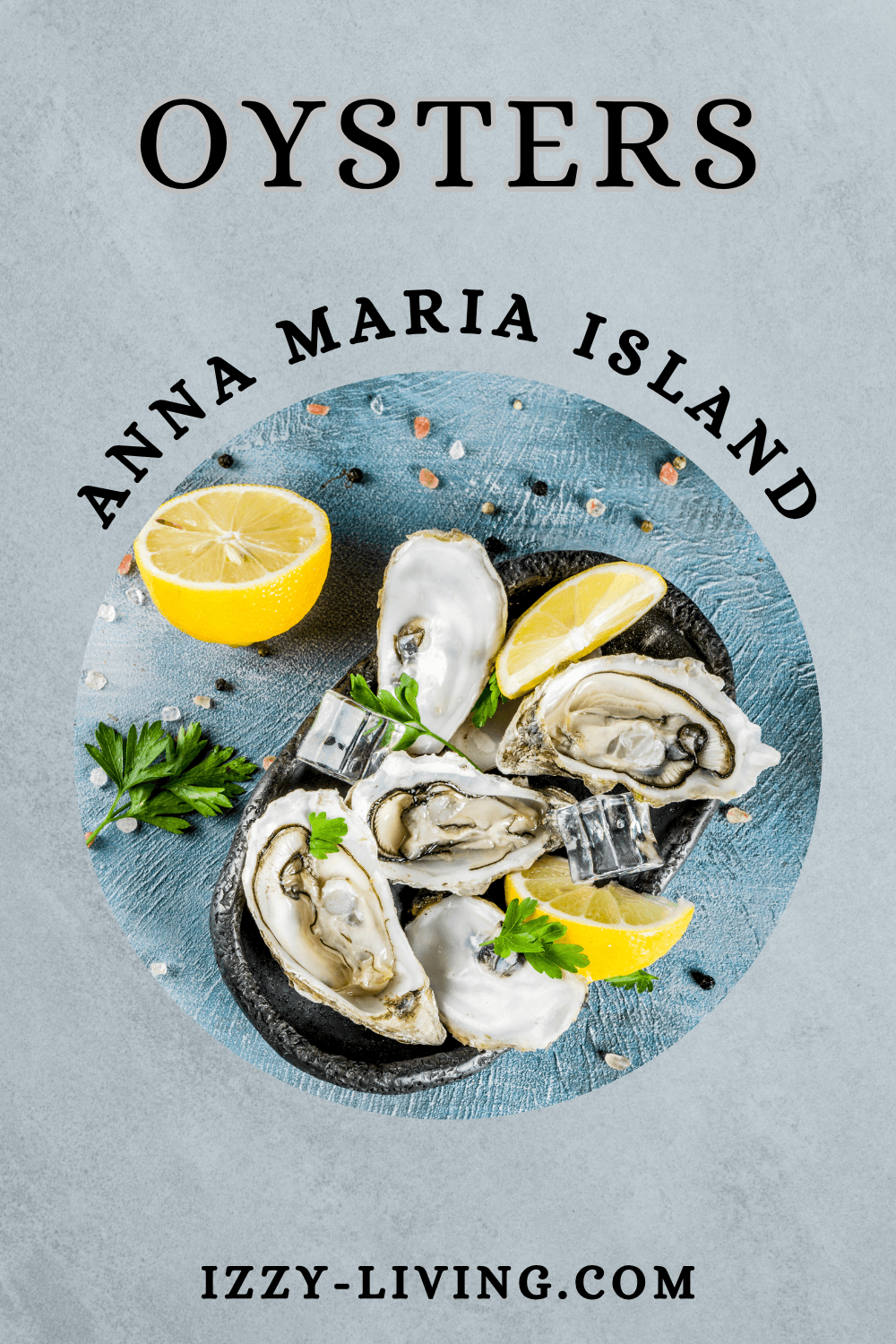 Ultimate Guide to Oysters on Anna Maria Island