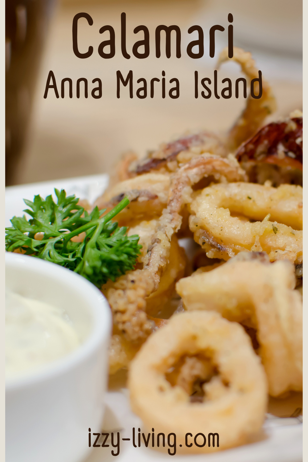 Ultimate Guide to Calamari on Anna Maria Island