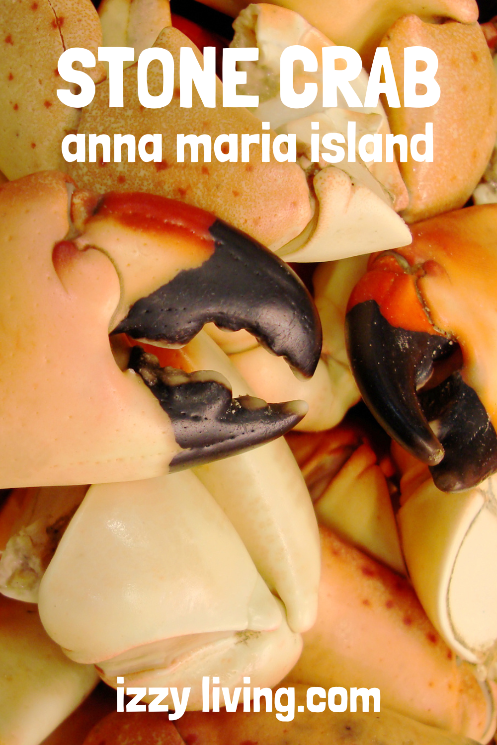 Ultimate Guide to Stone Crab on Anna Maria Island