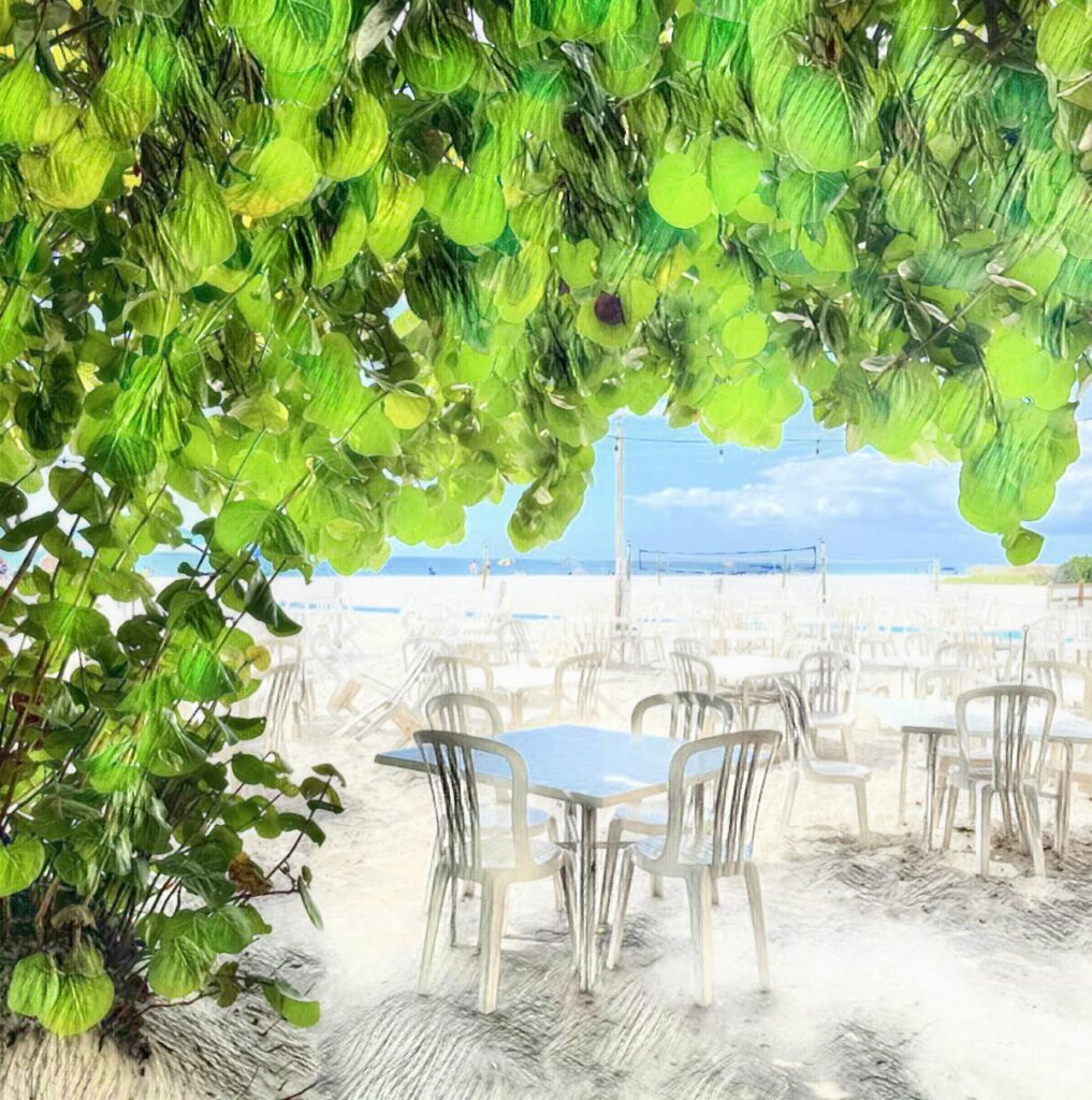 Anna Maria Island toes-in-the-sand dining