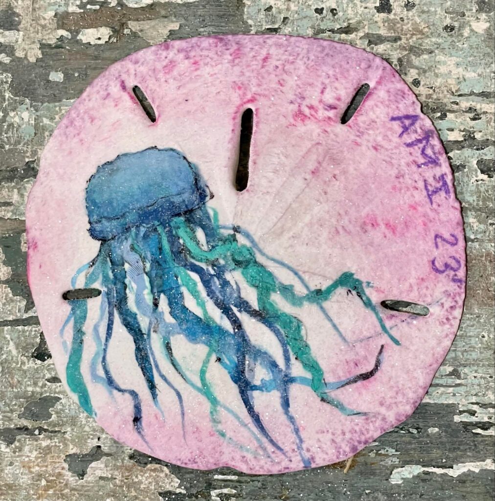 Anna Maria Island Sand Dollar