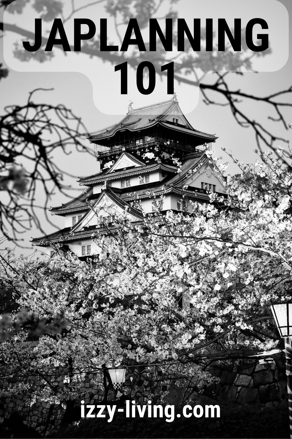 Japlanning 101: Your Crash Course to an Epic Trip