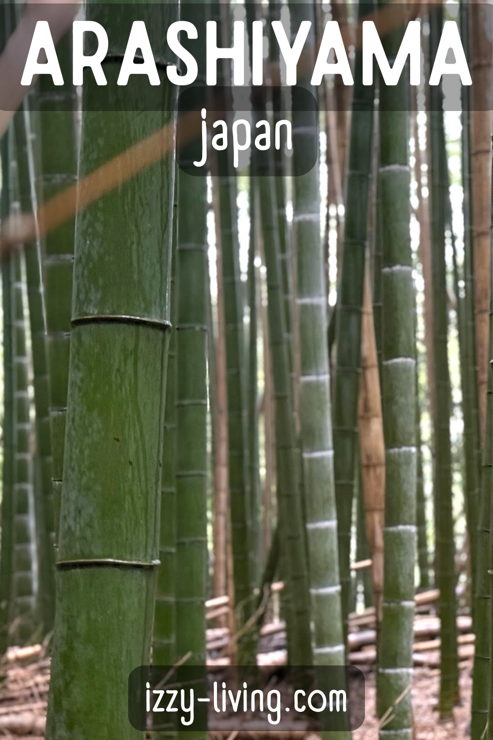 Ultimate Guide to a Day in Arashiyama in Japan