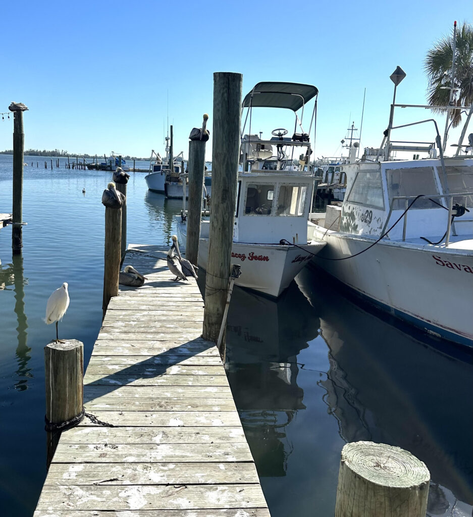 Anna Maria Island Cortez