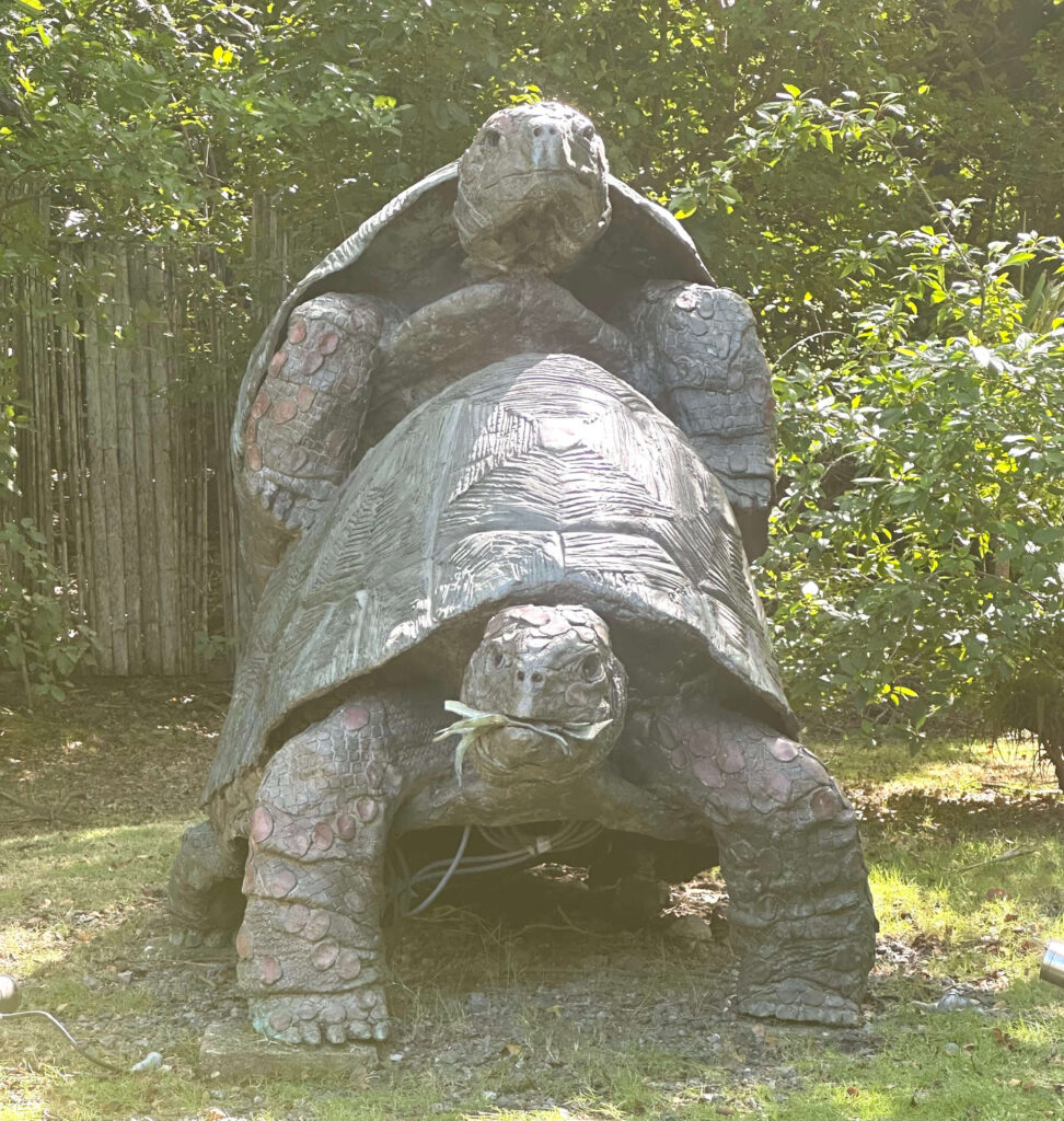 Mustique Turtle Statute