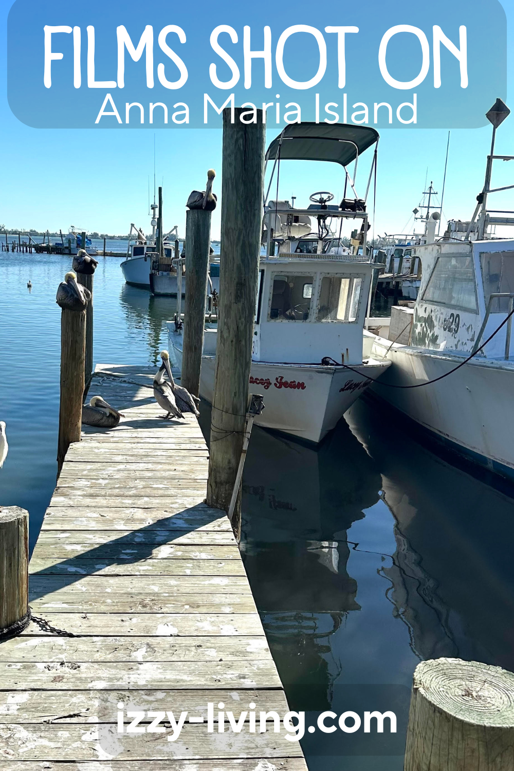 Ultimate Guide to Films Shot on Anna Maria Island