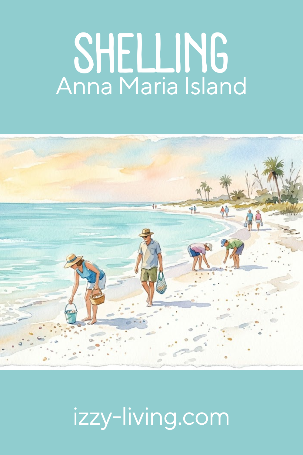 Ultimate Guide to Shelling on Anna Maria Island