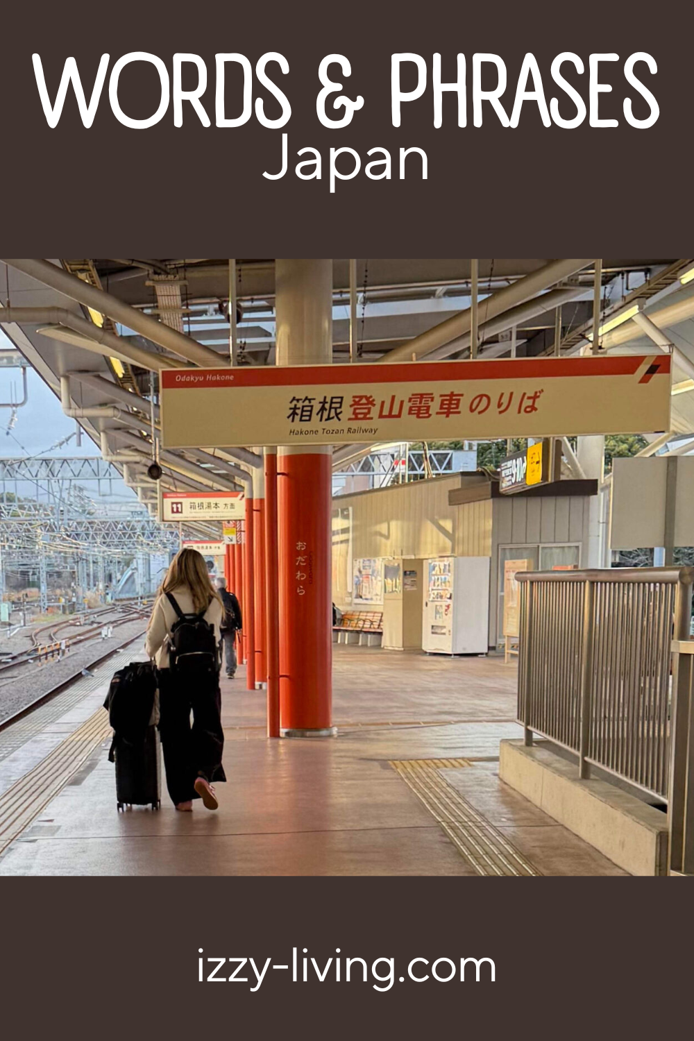Guide to Useful Japanese Words and Phrases
